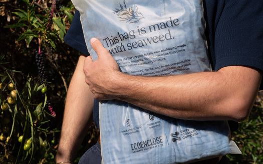 Los envases compostables fabricados con algas o residuos alimentarios son una alternativa ms sostenible a los envoltorios de plstico y el poliestireno. (Sway)