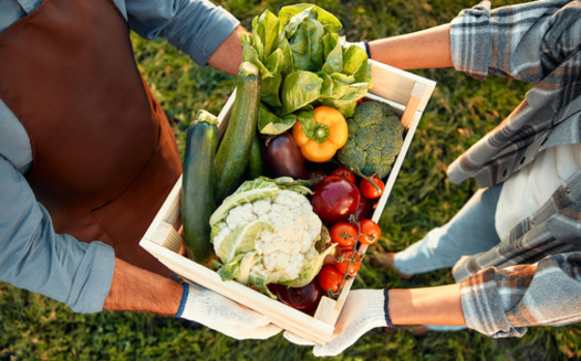 In Fiscal Year 2024, Ohio's state-funded food programs created or sustained 292 jobs, supported $11.3 million in income and generated $38.4 million in economic output. (Adobe Stock)