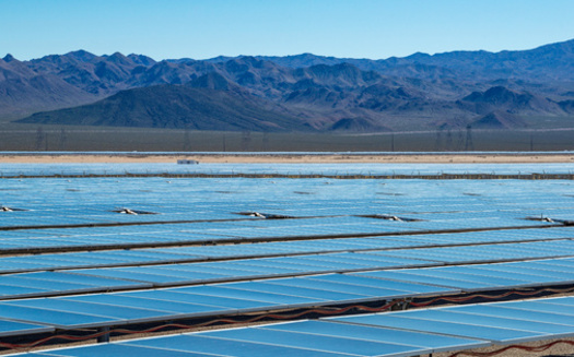 Almost 33% of Nevada's electricity is solar power, according to the Solar Energy Industries Association. (Dominic Gentilcore/Adobe Stock) 