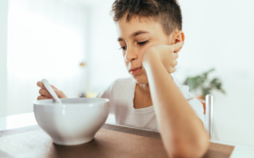 Pennsylvania gets $4.3 billion yearly for SNAP, helping 1.9 million people but the reconciliation bill could cut benefits for 401,000 Pennsylvanians, according to the Center for American Progress. (Kleberpicui/Adobe Stock)