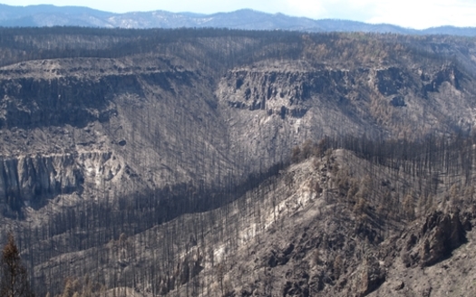The National Centers for Environmental Information reports 27 U.S. climate disasters in the past year caused at least $1 billion in damages, making it the fourth-costliest year on record. (USGS.gov)