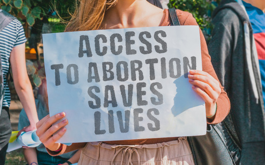 El Proyecto de Ley 31 del Senado no modifica la ley del aborto, pero aclara cundo un mdico puede practicar un aborto para salvar la vida de una embarazada. (AndriiKoval/Adobe Stock)<br /><br /><br />