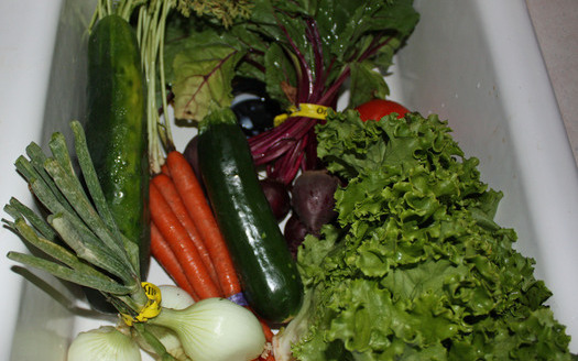 PHOTO: organic produce. Photo credit: Deborah Smith
