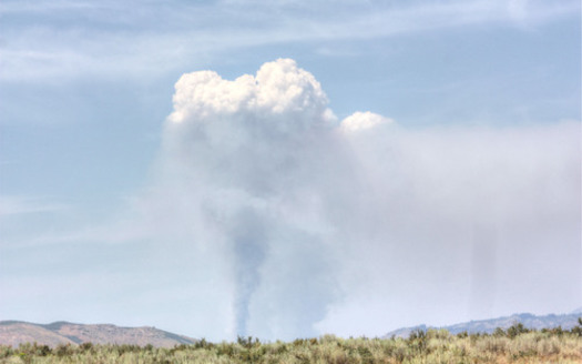 PHOTO: Plume of smoke from a fire in the Salmon-Challis National Forest. Photo credit: Deborah Smith