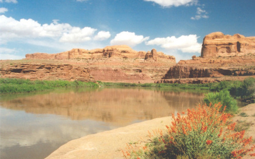 PHOTO: The Lower Colorado River at Utah's Gold Bar Campground. Photo credit: A.E. Crane, America's Byways.