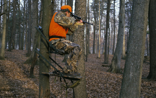 PHOTO: Hunter in tree stand. Courtesy U.S. Fish and Wildlife Service