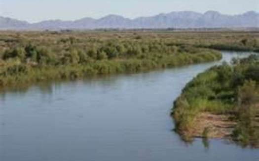 Colorado River near Yuma. Photo Credit: California Blog