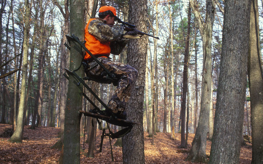 PHOTO: Man in a deer stand. Conservation is just as important as gun rights, according to a new poll of sportsmen. Photo credit: Steve Maslowski, U.S. Fish & Wildlife Service.
