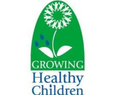PHOTO: W.Va. Healthy Kids And Families Coalition logo.
