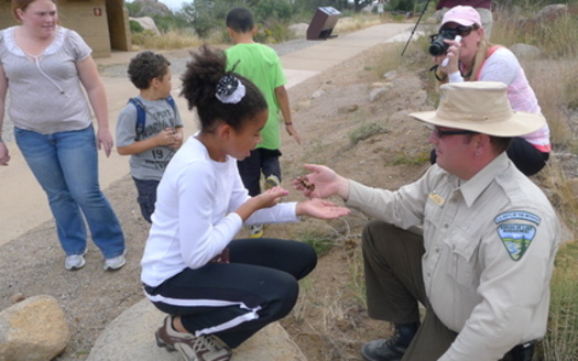 PHOTO: Krista Stoot looks at a tarantula held by a park ranger while Julia Armstrong focuses camera at Aguirre Springs Campground. Photo credit: Eliza Kretzmann.