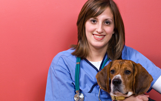 PHOTO:  A veterinary Technician with dog. 