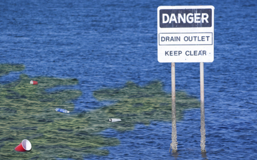 PHOTO: The federal Environmental Protection Agency will set new, strict standards for Florida waters that are expected to have an impact nationwide. 