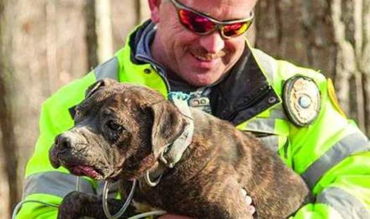 Cheatham County Animal Control Director TJ Jordi rescues one of the dogs.  Credit Amiee Stubbs/Animal Rescue Corps