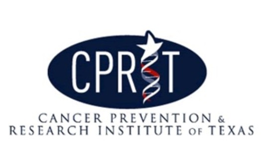 PHOTO: The state House Appropriations Committe is expected to discuss the future of the troubled Cancer Prevention and Research Institute of Texas.