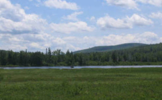 A moose in the distance at Lake Umbagog National Wildlife Refuge, ME. Scientists are anticipating some iconic Maine species will move northward due to global warming and they're working to ready resilient landscapes for them. Courtesy US Fish and Wildlife Service