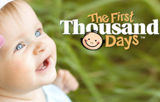 GRAPHIC: The website www.firstthousanddayswv.com is intended to inform policymakers and the public about the importance of the first years of life. Courtesy Early Childhood Advisory Council of West Virginia.