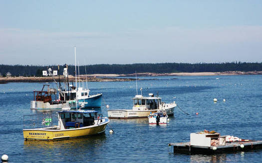 PHOTO: A new report says lobster fisheries in the Gulf of Maine might be the 