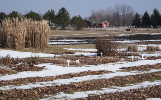 Organic farms such as Giving Tree Farms in Lansing often rely on federal funds for research and certification reimbursement. Those funds were left out of the 2008 Farm Bill.