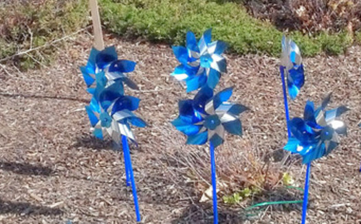 PHOTO: April is Child Abuse Prevention Month. Pinwheels are the symbol for prevention. They're being planted all over Idaho to raise awareness.