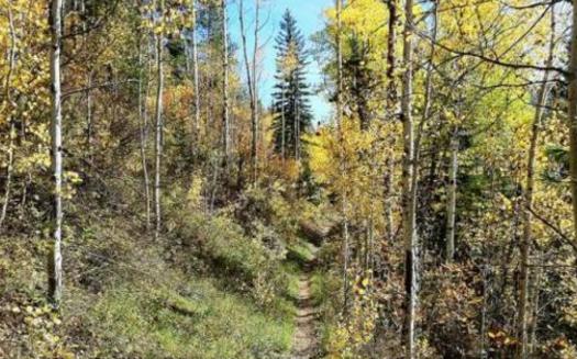 PHOTO: Hermosa Creek Trail near Durango. Courtesy The Wilderness Society.