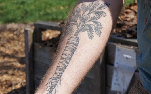 28 year-old farmer Alex Bryan sports a carrot tattoo...or maybe it's a parsnip.  PHOTO CREDIT: Rob South