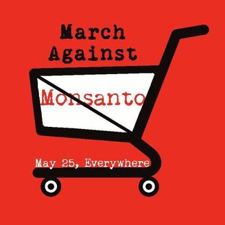 Photo: In more than 400 cities around the world, people participated in this weekend's March Against Monsanto, voicing their disapproval of genetically modified crops and foods.