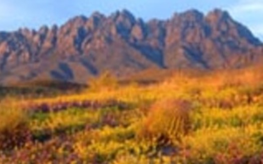 PHOTO: Hispanic organizations in New Mexico are expressing support for an Organ Mountains Desert Peaks national monument.<br />Courtesy of:  Mike Groves.<br />