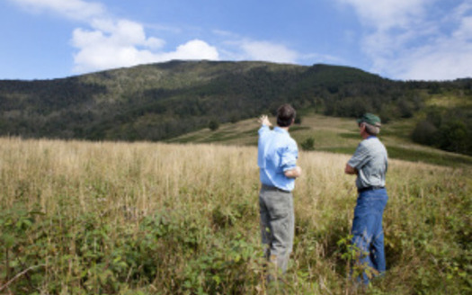 PHOTO: More than 600 acres of Grassy Ridge land was purchased recently for conservation. Courtesy of Blue Ridge Forever.
