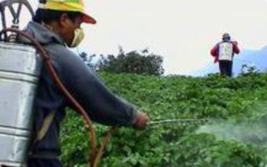 Farmworkers are in Washington DC today, calling on Congress for stronger protections from hazardous pesticides they say are harming them and their families. Courtesy Pesticide Action Network.