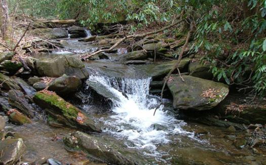 PHOTO: The Tennessee Wilderness Act has been reintroduced in Congress by the states two U-S Senators. The legislation seeks to permanently protect 20,000 acres of the Cherokee National Forest and add the states first new wilderness area in more than a quarter-century. CREDIT: Chris M. Morris