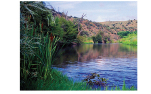The Gila River is one of the tributaries of the Colorado River.  The Colorado and its  protection was the focus of a special event Thursday in Santa Fe and throughout the Western U. S.<br />Courtesy of: Gila Conservation Coalition<br />