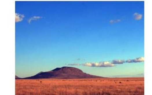 Otero Mesa is one of twelve unique landscapes being heralded by The Wilderness Society as Too Wild to Drill in a report out today.<br />Courtesy: New Mexico Wilderness Alliance<br />