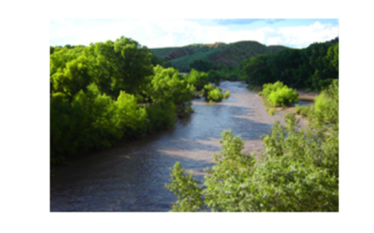 PHOTO: Gila River in summer. The water level of the Gila River, a tributary of the Colorado River, has New Mexicans concerned for the long-term health of the waterway. <br />Courtesy of: Dennis OKeefe<br />