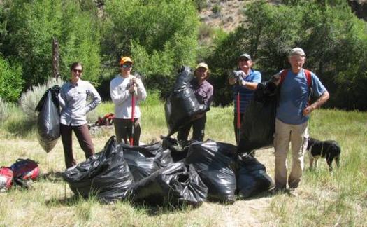 PHOTO: Noxious weeds are no match for the Friends and Neighbors of the Deschutes Canyon Area. They made quite a haul on BLM land in July. Photo courtesy of 'FANS.'