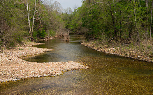 PHOTO: A lawsuit over government subsidies for a huge confined pig operation next to this tributary of the Buffalo River says hog waste run-off could damage the pristine water of a national park that draws a million visitors annually.