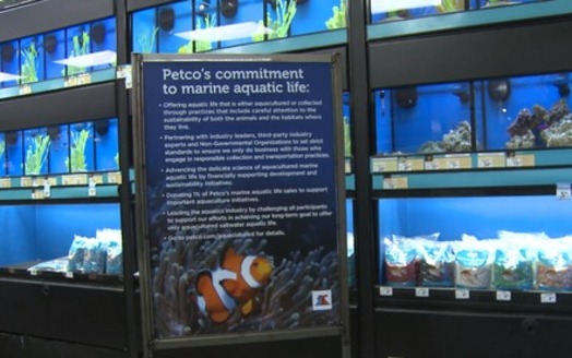 Photo: PETCO will start educating consumers about the importance of buying aquacultured fish. Courtesy: Defenders of Wildlife.