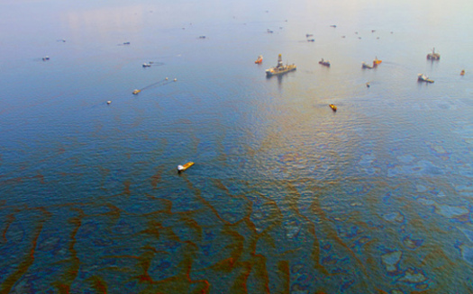 PHOTO: Day 30 of Deepwater Horizon oil spill in the Gulf of Mexico, 2010. CREDIT: Green Fire Productions