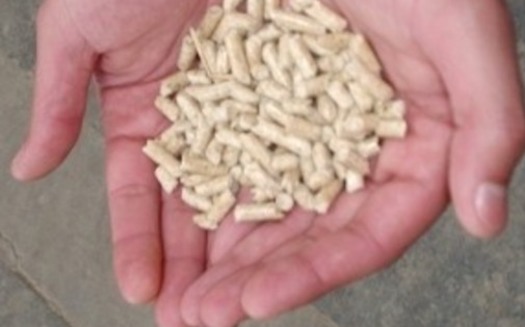 PHOTO: Biomass pellets are used worldwide for energy generation, and they're growing in popularity in Europe. Courtesy: Wikimedia Commons
