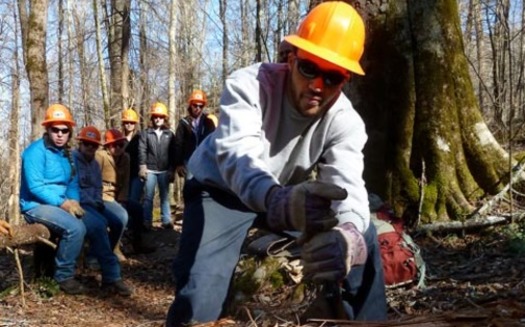 PHOTO: It's a growing trend, spring breakers using their time off from school to volunteer for service projects. One place where they're spending time is in the forests of Tennessee. Photo credit: Bill Hodge