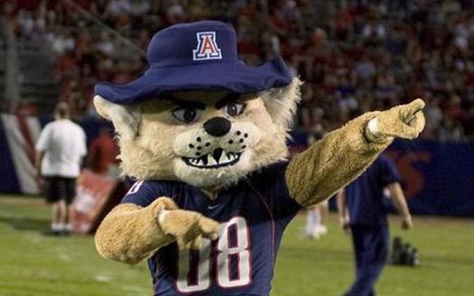 PHOTO: From the Arizona Wildcats to New Mexico's Lobos, mascots are the faces of colleges and universities across the Southwest. A new report from the National Wildlife Federation shows how some of the real-life inspirations for these school spirit-builders may be at risk. Photo courtesy of University of Arizona.