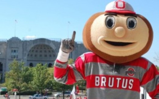 PHOTO: A new report finds climate change is causing Ohio's beloved buckeye to move northward, and even into Wolverine territory. Photo credit:OSU.