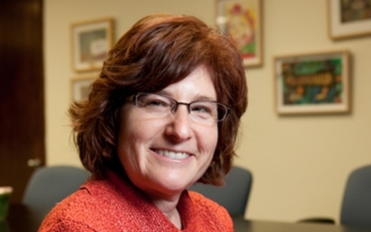 PHOTO: Children's Action Alliance president Dana Wolfe Naimark expects a bill reforming the state's child welfare system to include additional staffing. She hopes it also includes more transparency and increased child care funding. CREDIT: Children's Action Alliance.