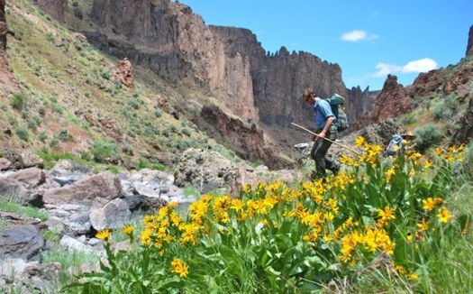PHOTO: A hiker explores the West Little Owyhee River Canyon in southeast Oregon's Owyhee Canyonlands. An independent economic analysis says protecting the area could be a much-needed boost for the Malheur County economy. Photo credit: Tim Neville.<br />Photo by Tim Neville