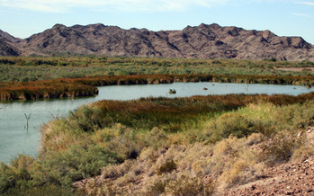 PHOTO: The Colorado River means millions of jobs and billions of dollars to Arizona's economy each year, according to a new report. Photo courtesy Arizona Department of Water Resources.