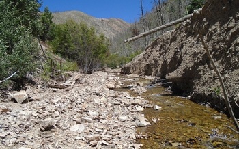 Popular North Creek fishery in Southern Utah being restored. Courtesy: Utah Division of Wildlife Resources