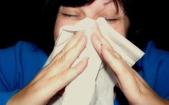 Seasonal allergic rhinitis, or hay fever, affects more than 35 million people in the United States annually. (mcfarlandmo/Wikimedia Commons)