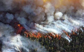 State officials have issued health warnings over smoke from wildfires and increased ground-level ozone pollution. (Pixabay)