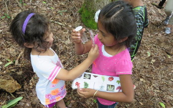 Children in Macon County are learning through outdoor education in the Kids in Nature program by the Highland-Cashiers Land Trust. (HCLT)