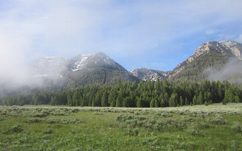 A new environmental scorecard shows a big difference in priorities for Montana's congressional delegation. (Pat Fosse/BLM)