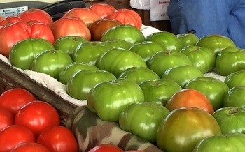 The Ohio Agricultural Clearance Program helps farmers distribute surplus product to local food banks. (Pixabay)